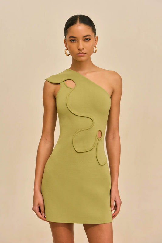 LABELLA KNIT DRESS - PASTURE