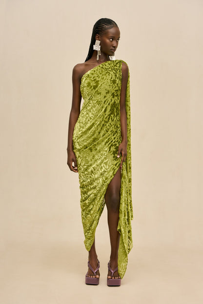 SARAI GOWN - CHIVE